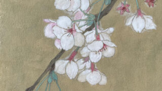 切り絵 花 華 原画 直筆サイン入り 1点物 美術品 初夏の宴 木版画のことなら『木版画 版元 芸艸堂 Woodblock print』