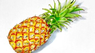 d3255a5c9ab004933b7b56b5cf3fd3