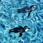 絵画レンタル販売 Art beans【No.422】「いつも一緒」/広田豊子