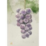絵画レンタル販売 Art beans【No.423】「ぶどう」/正木俊行